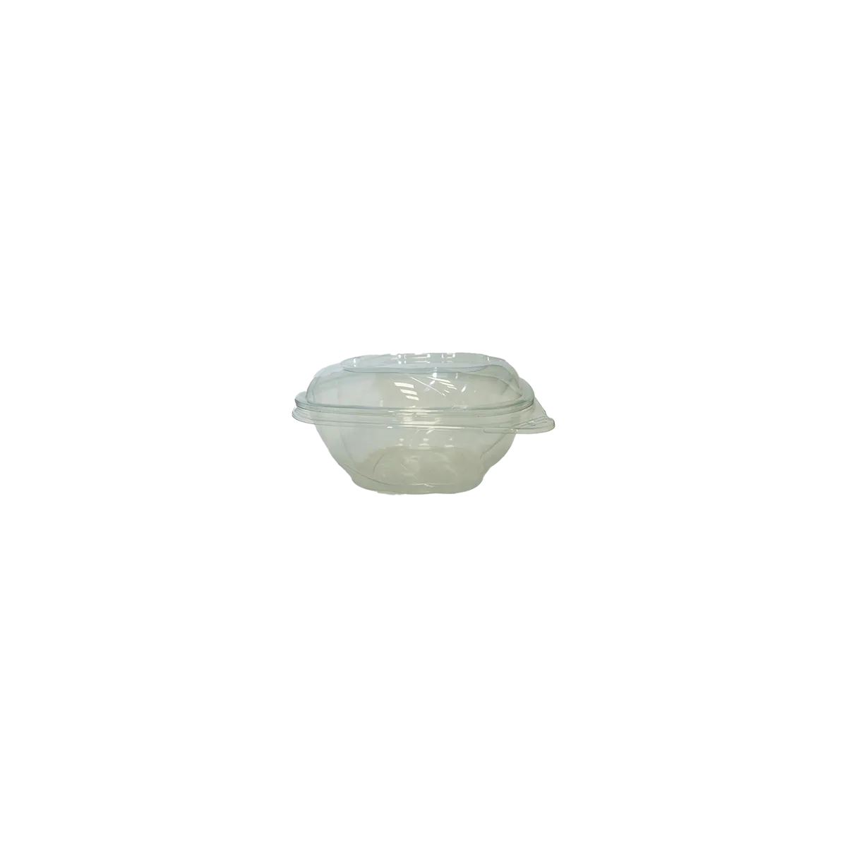Salad bowl with lid
